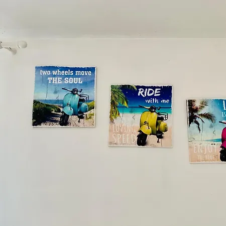 Miami Rif